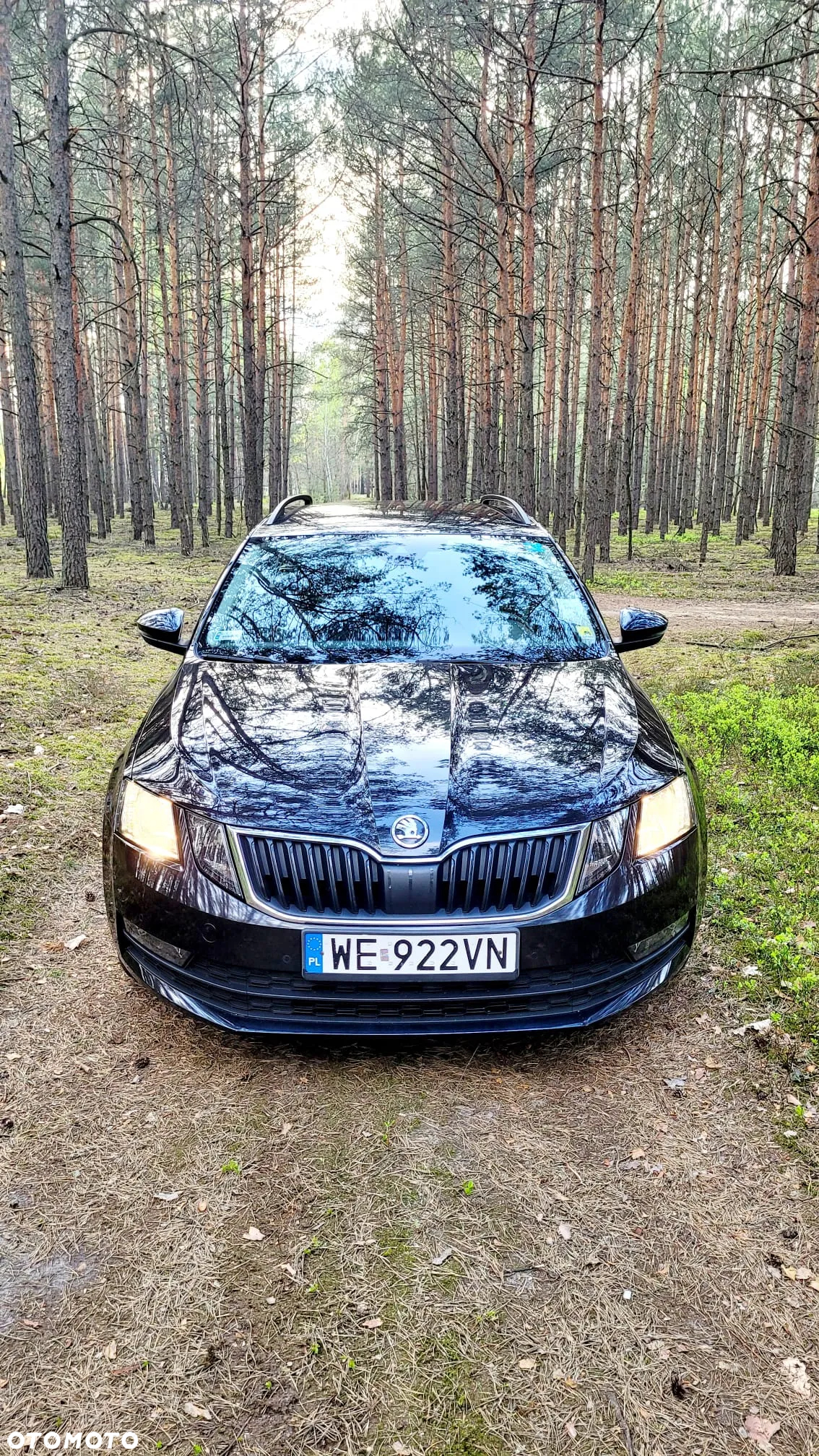 Skoda Octavia - 3