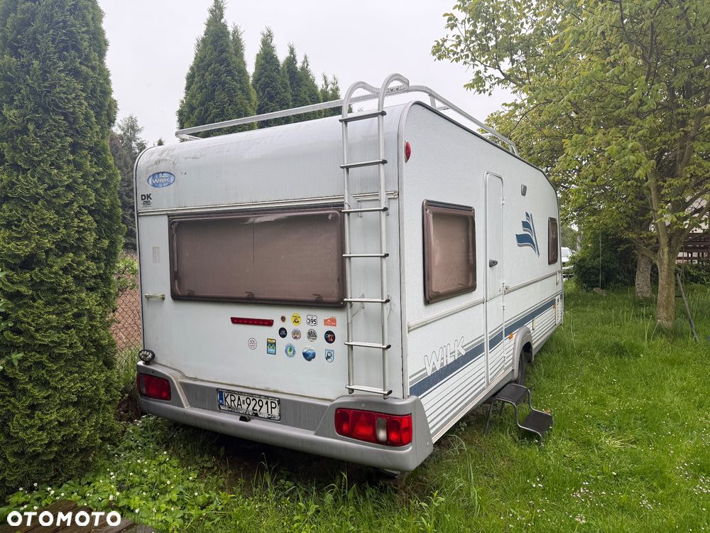 Wilk SPORT 490 - 5