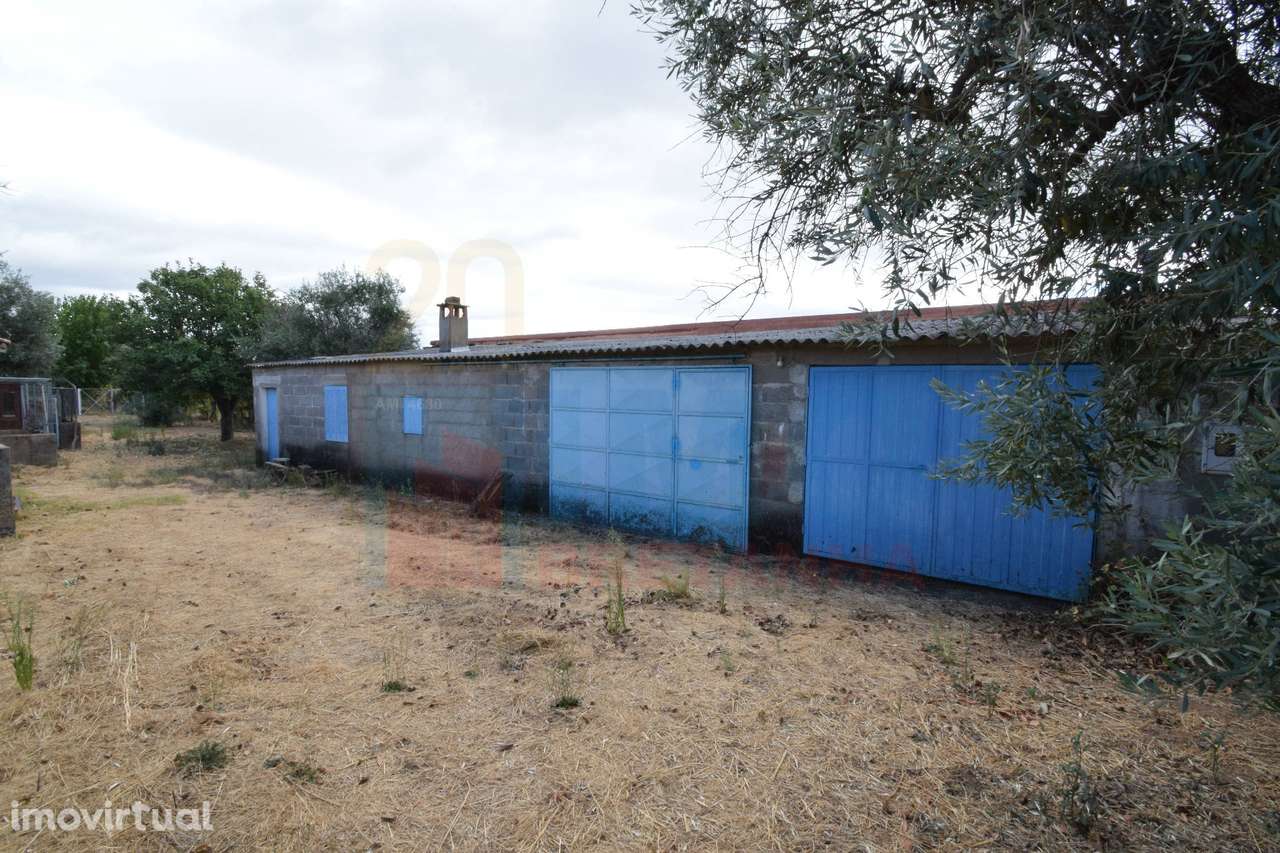 Quinta em Mata - Castelo Branco - Grande imagem: 5/28