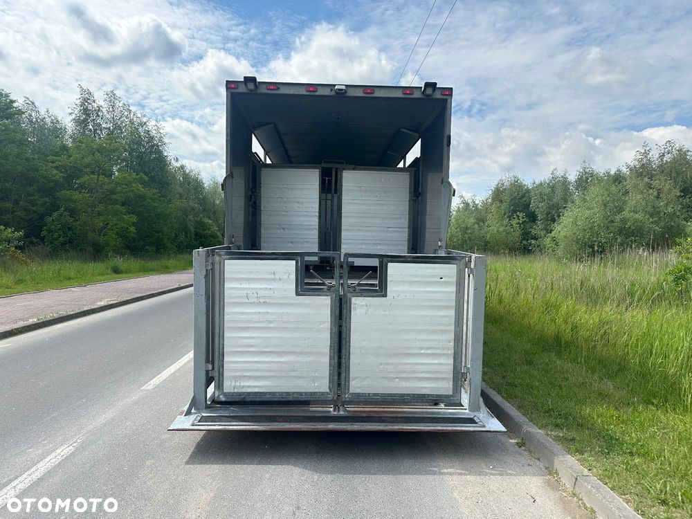 DAF CF 440  DO BYDLA -ZWIERZAT -ZYWCA - 14
