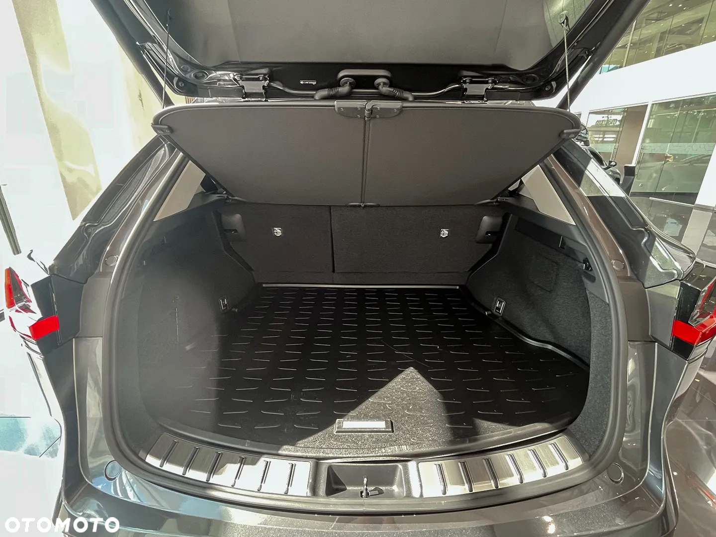 Lexus NX - 5