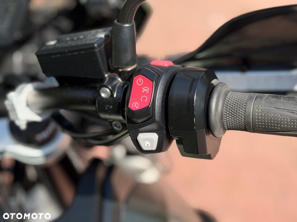 Triumph Tiger - 25