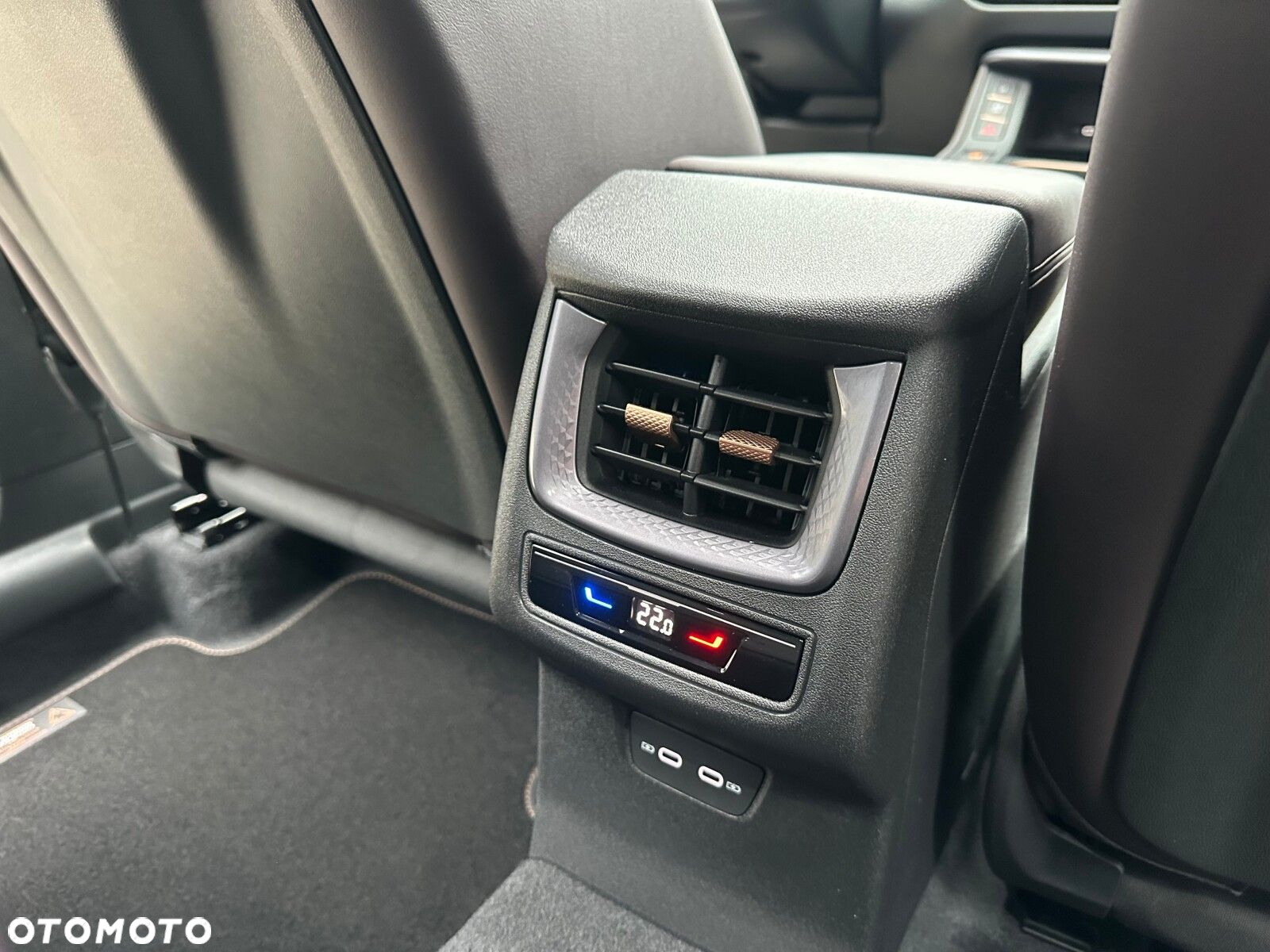 Cupra Terramar - 38