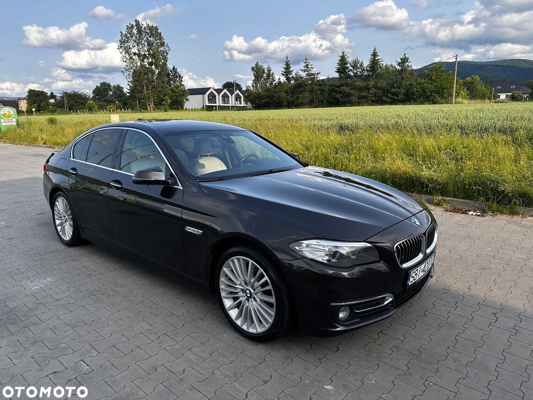 BMW Seria 5 525d xDrive Luxury Line - 8