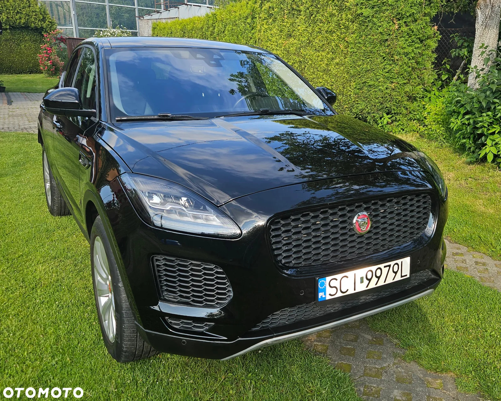 Jaguar E-Pace P250 AWD - 2
