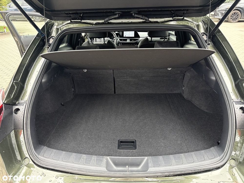 Lexus UX 300h Business - 15
