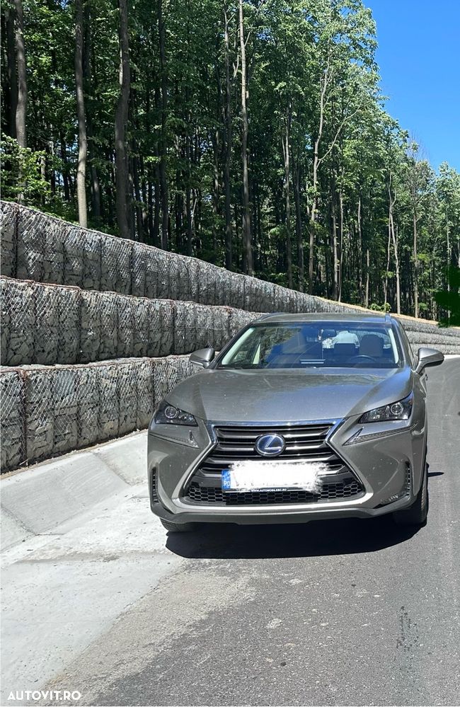 Lexus Seria NX 300h - 5