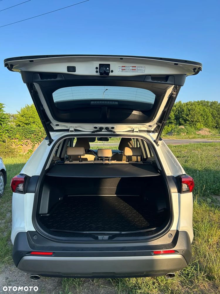 Toyota RAV4 2.5 Hybrid Executive 4x2 - 25