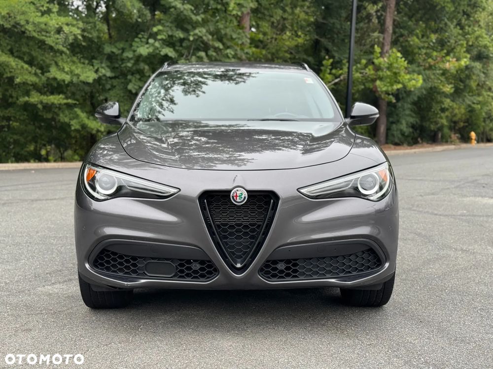 Alfa Romeo Stelvio 2.0 Turbo 16V AT8-Q4 Veloce - 2