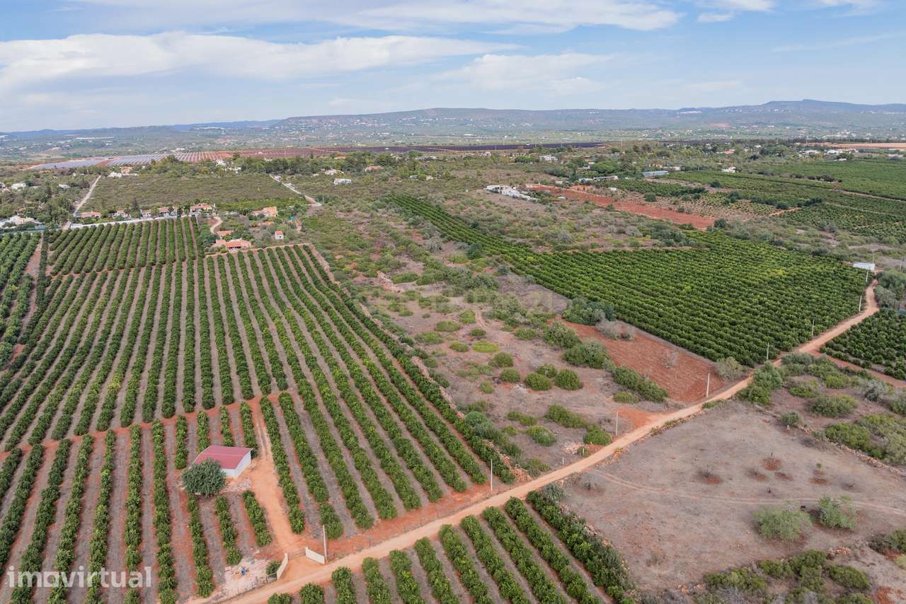 2 Terrenos Rústicos à Venda em Algoz - Grande imagem: 2/12
