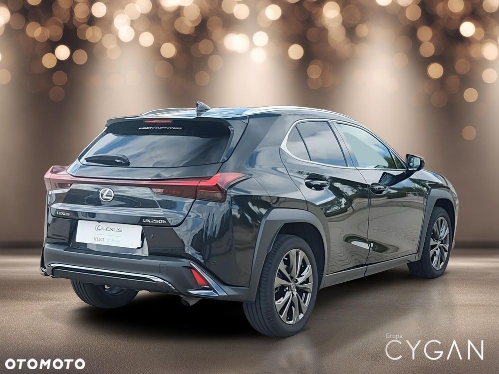 Lexus UX 250h GPF F Sport Design 2WD - 7
