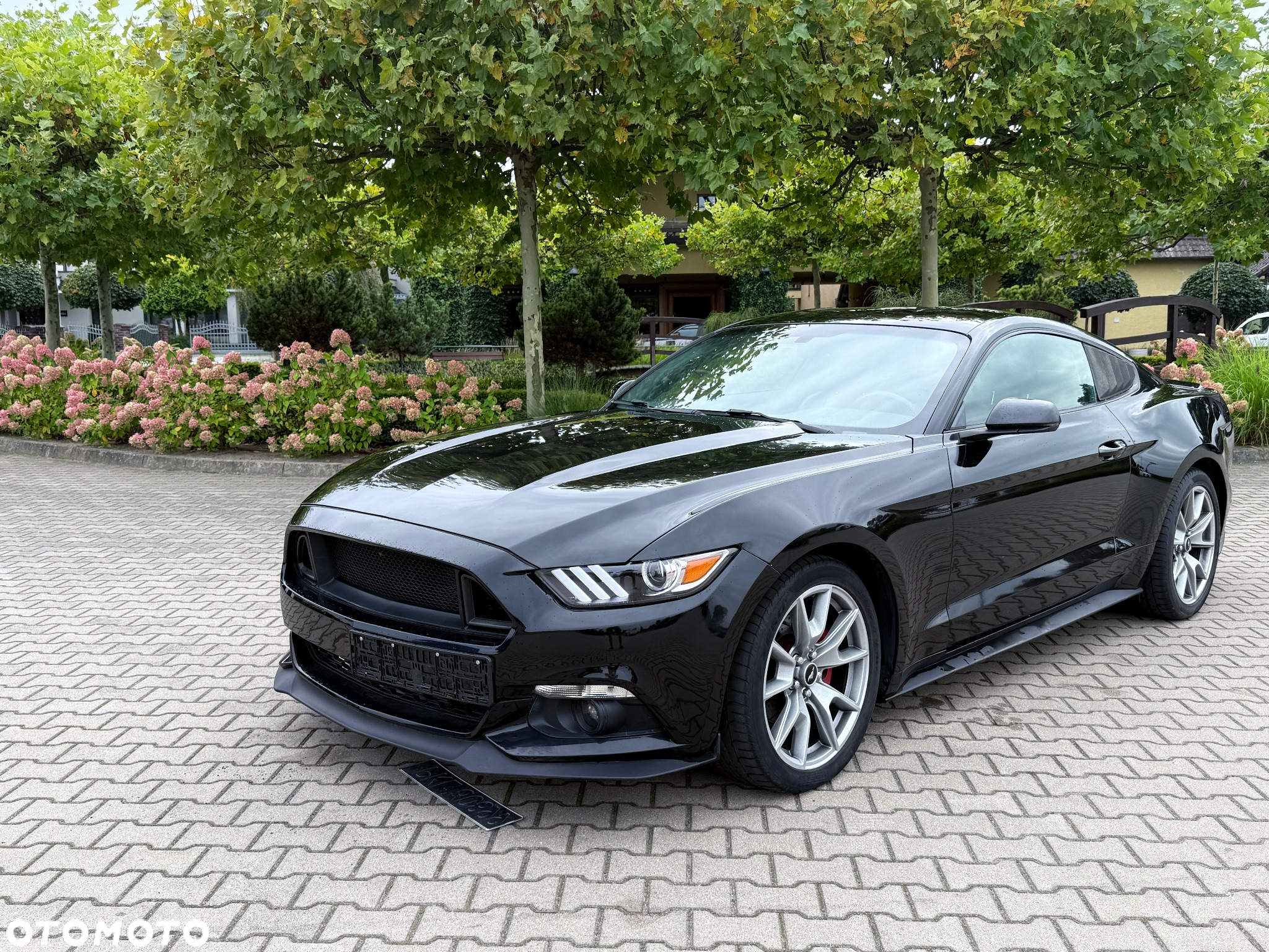 Ford Mustang 2.3 EcoBoost - 2