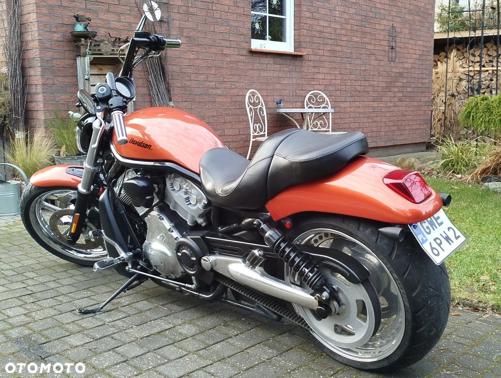 Harley-Davidson Softail V-Rod - 12