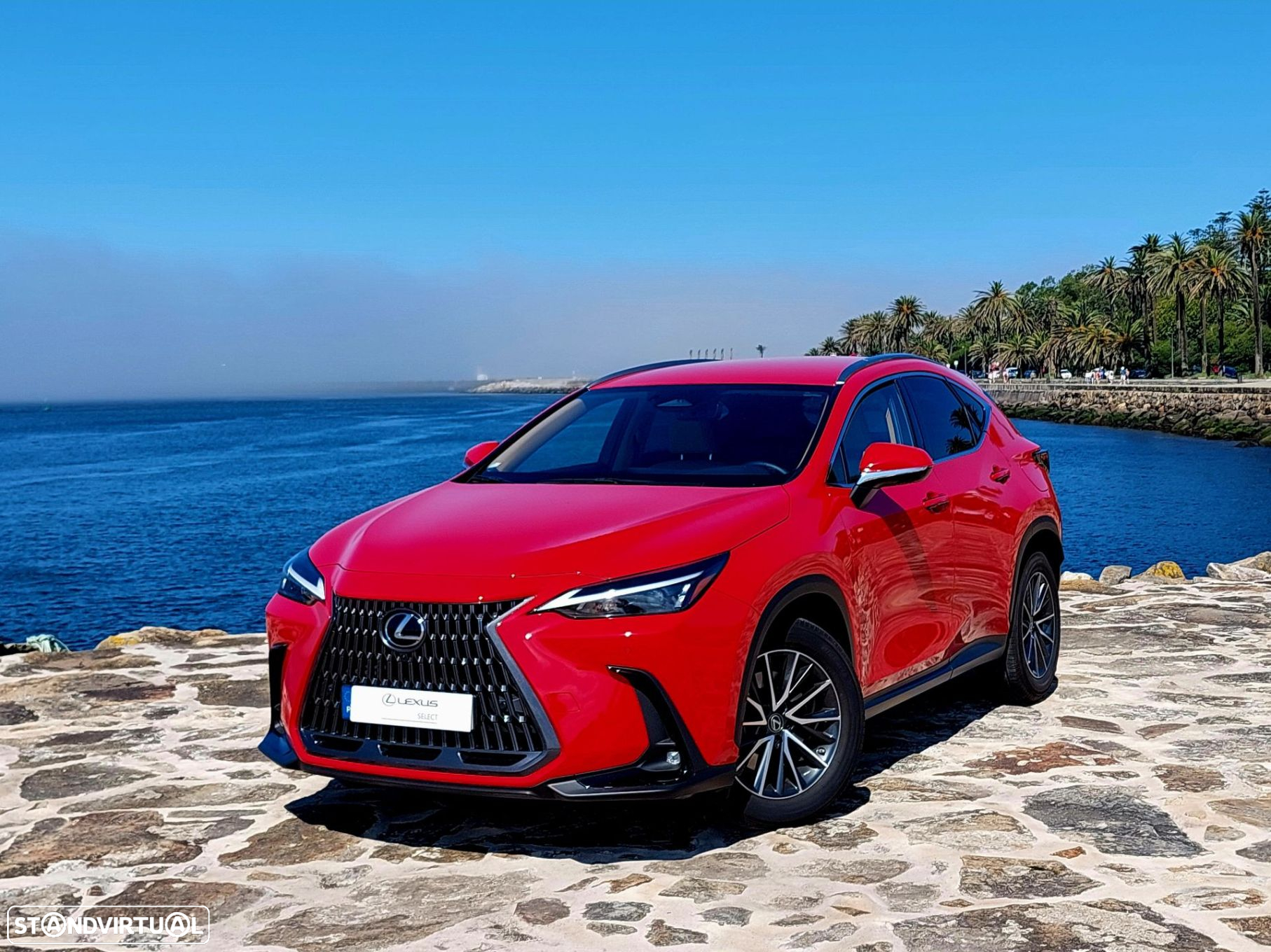 Lexus NX 450h+ - 2