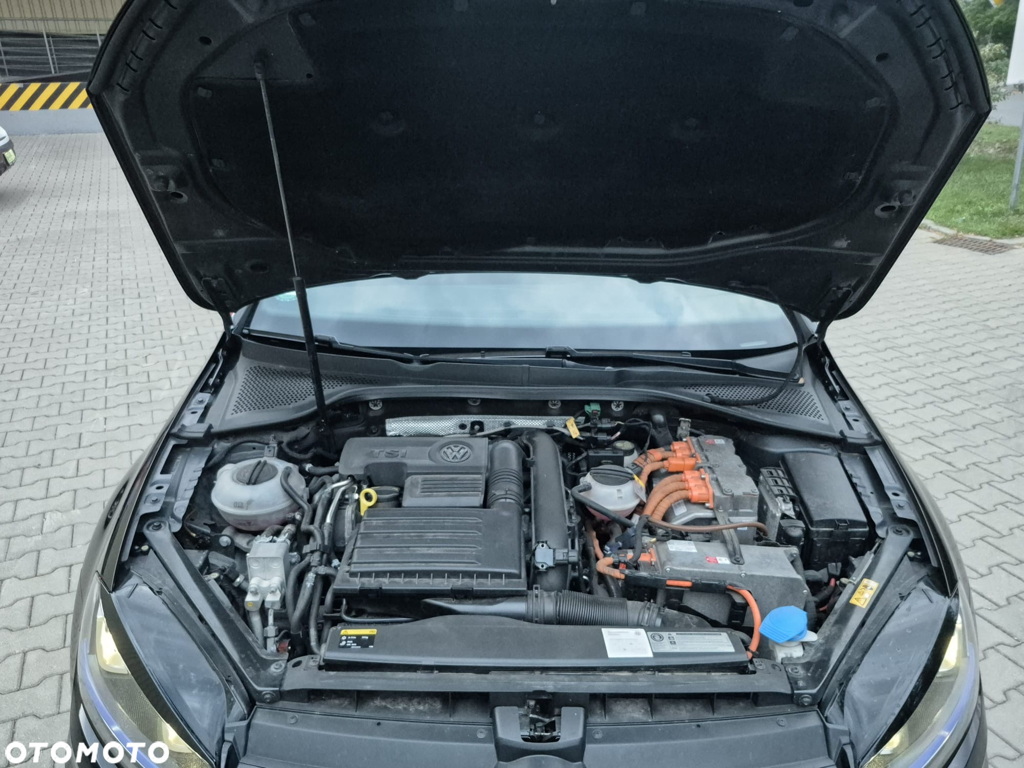 Volkswagen Golf - 16