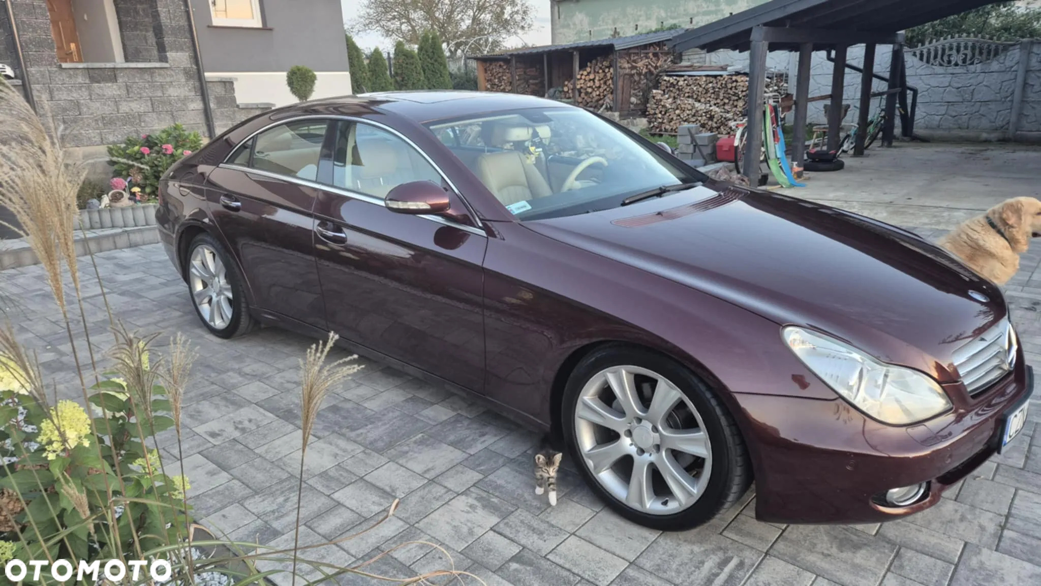 Mercedes-Benz CLS 320 CDI - 2
