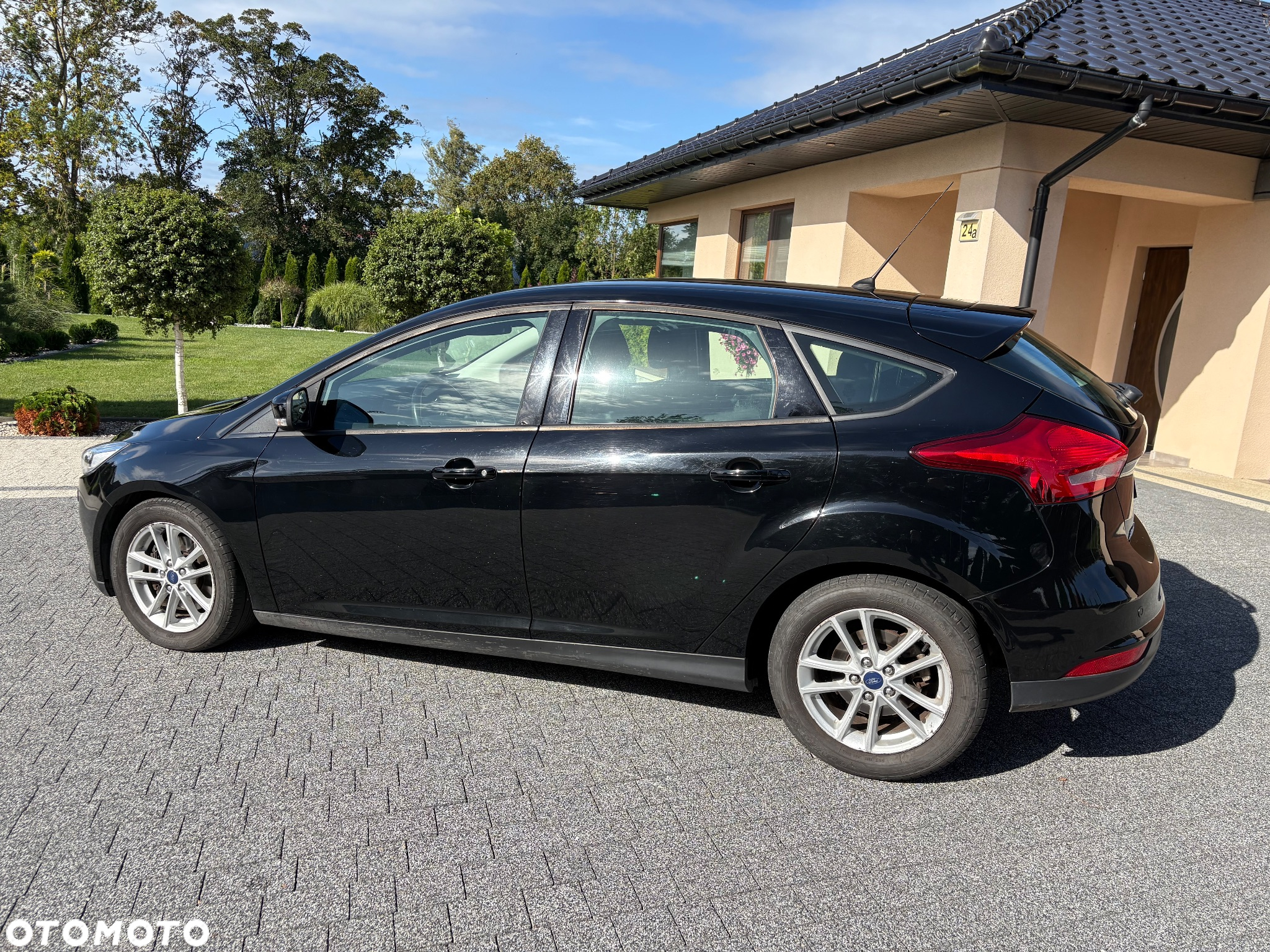 Ford Focus - 3