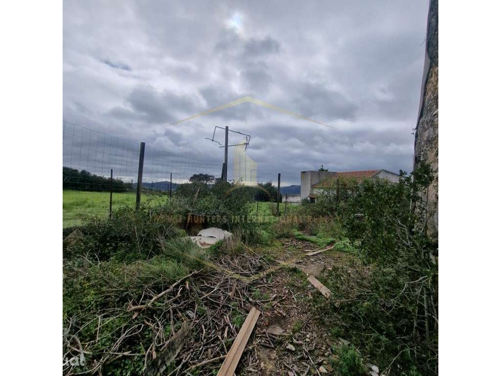 Moinho T1 - Grande imagem: 5/28