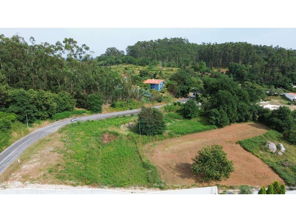 Terreno para Construção com 10 900m² | Brandara - Ponte de Lima - Grande imagem: 4/7