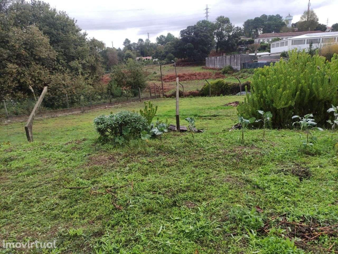 Terreno, 12 830 m², Oliveira de Azeméis, Santiago de Riba-Ul, Ul, Macinhata da Seixa e Madail - Grande imagem: 4/5