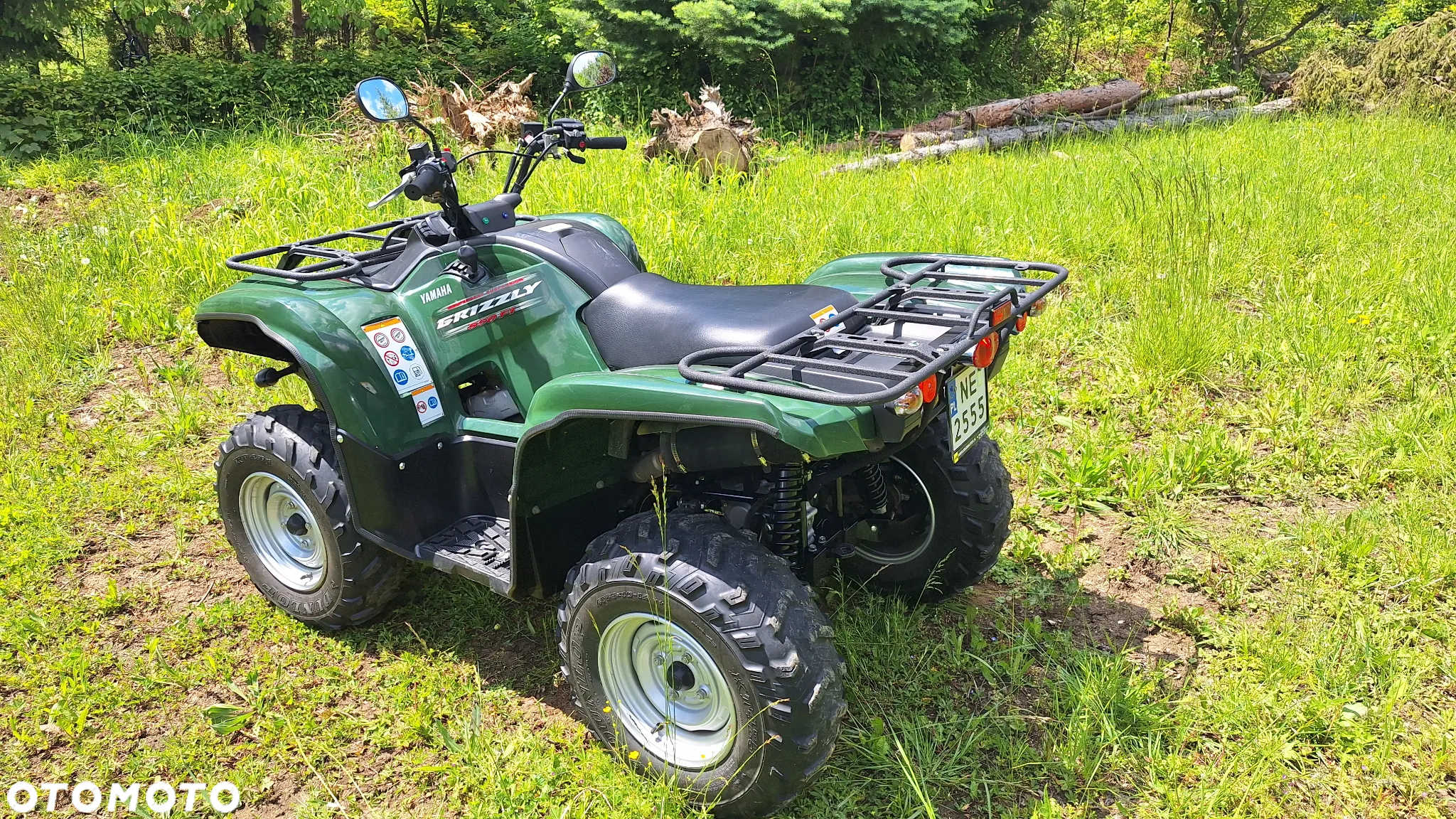 Yamaha Grizzly