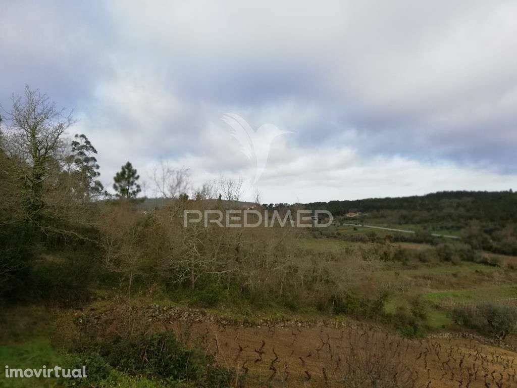 Lote terreno 3 337 m2 construção- Mata- Condeixa-a-Nova - Grande imagem: 2/6