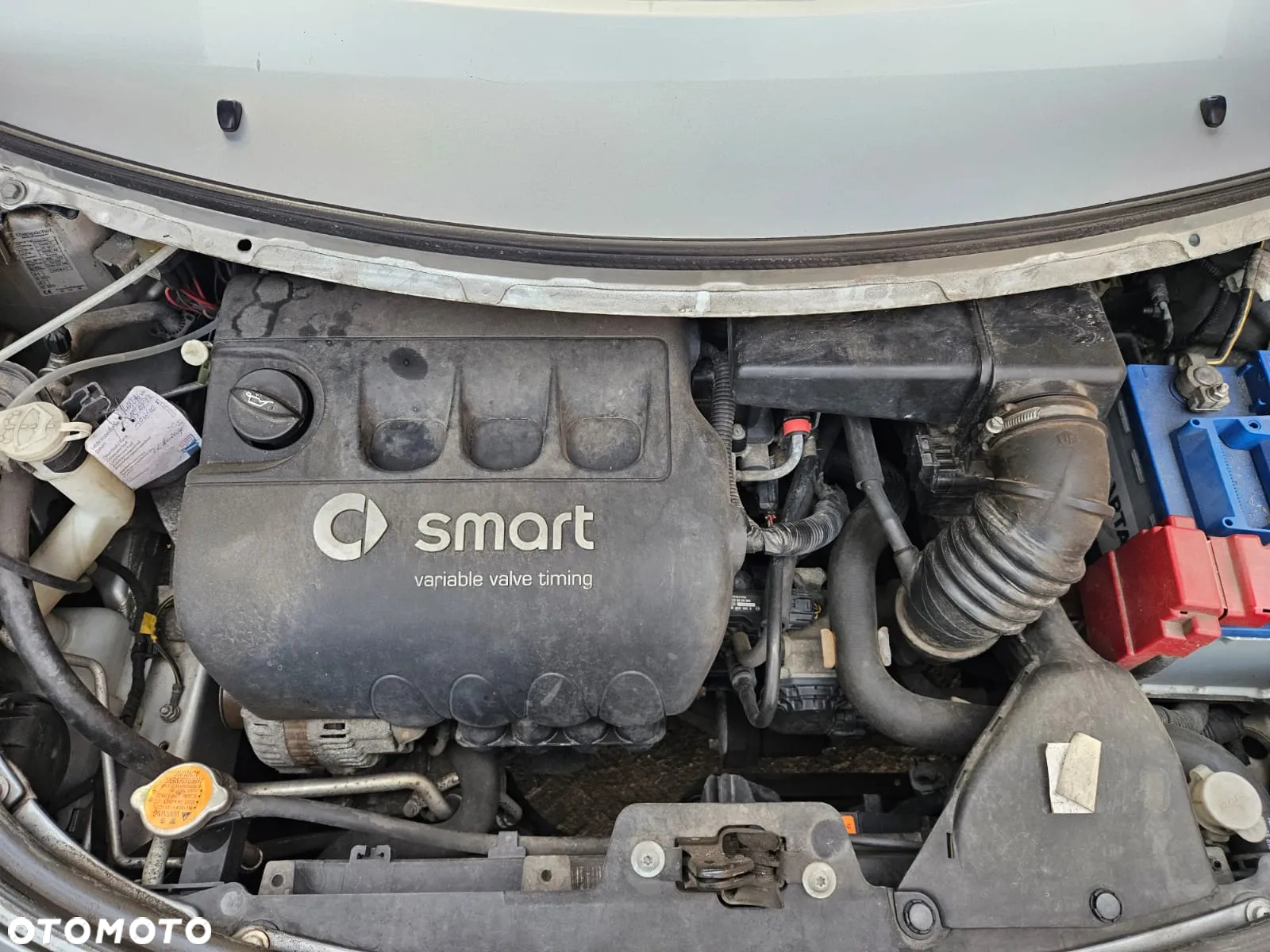 Smart Forfour pulse - 22