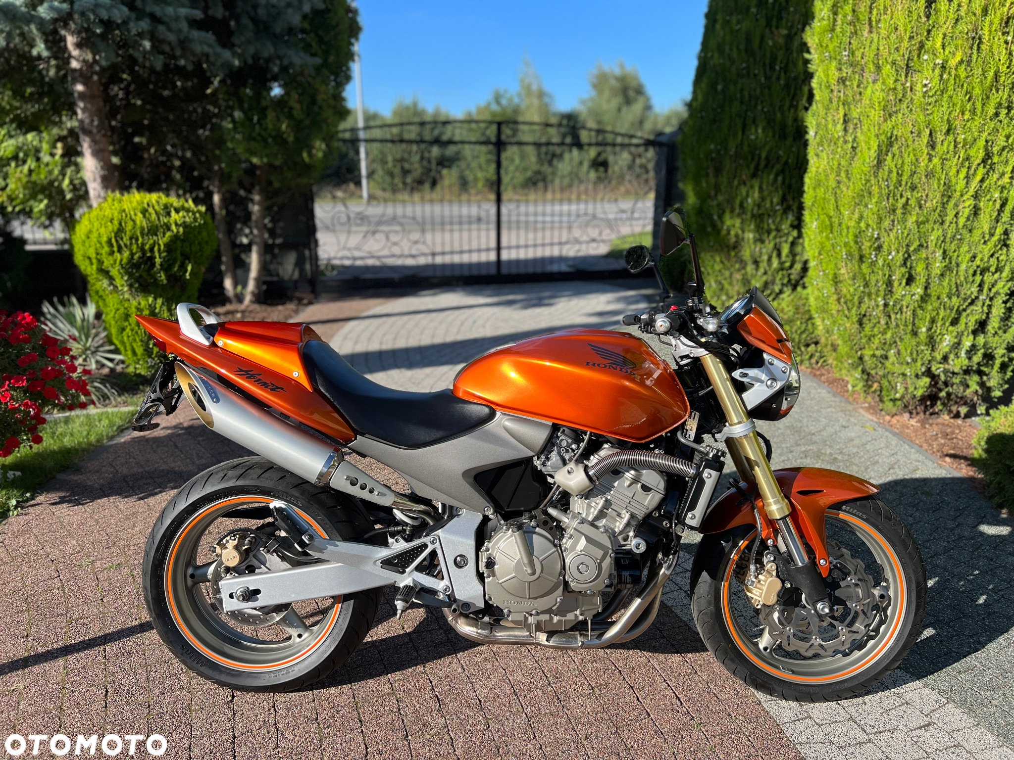 Honda Hornet - 7