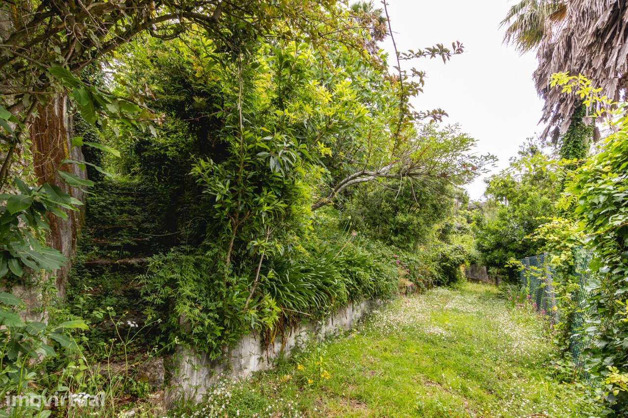 Encantadora Casa na Serra de Sintra - Grande imagem: 3/34