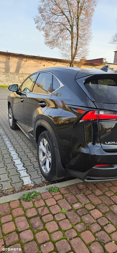 Lexus NX - 6
