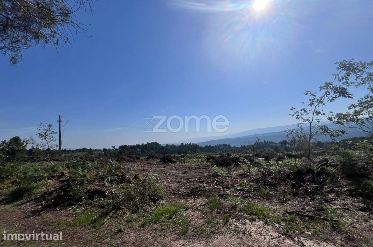 Terreno Rústico com 5 Hectares em Redondelo – Chaves - Grande imagem: 2/3