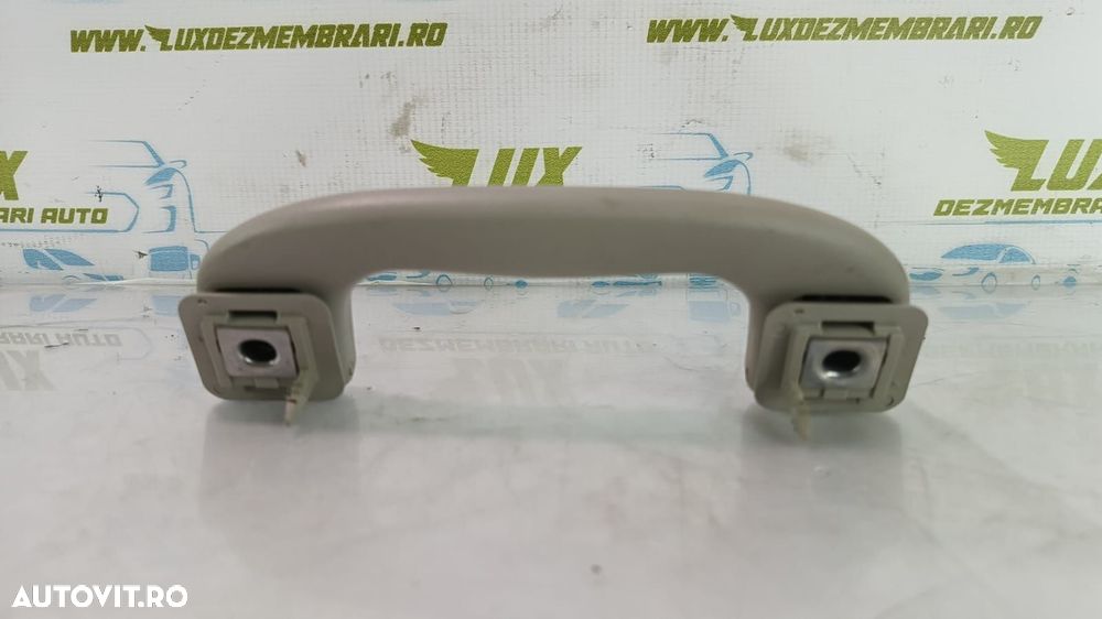 Maner plafon 5354925 Opel Insignia A  [din 2008 pana  2014] - 1