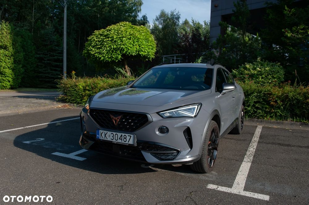 Cupra Formentor 2.0 TSI 4Drive DSG - 17