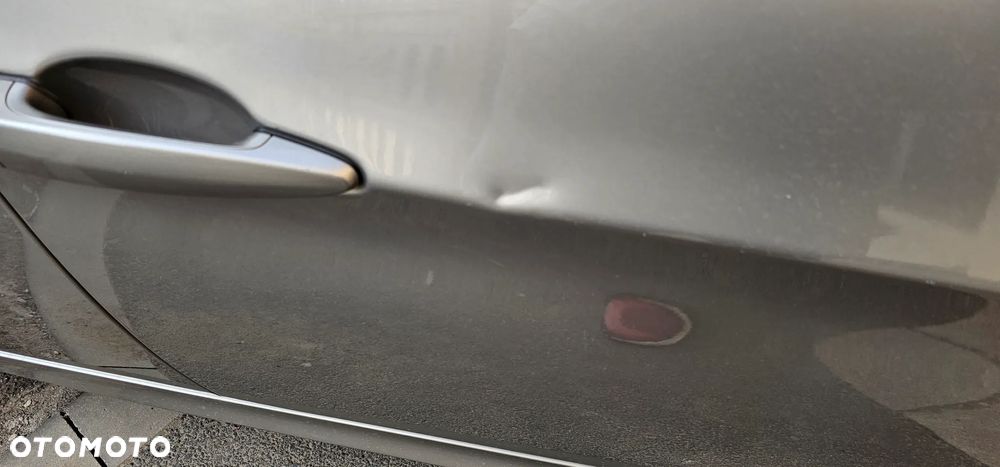 BMW Seria 3 318d DPF - 6