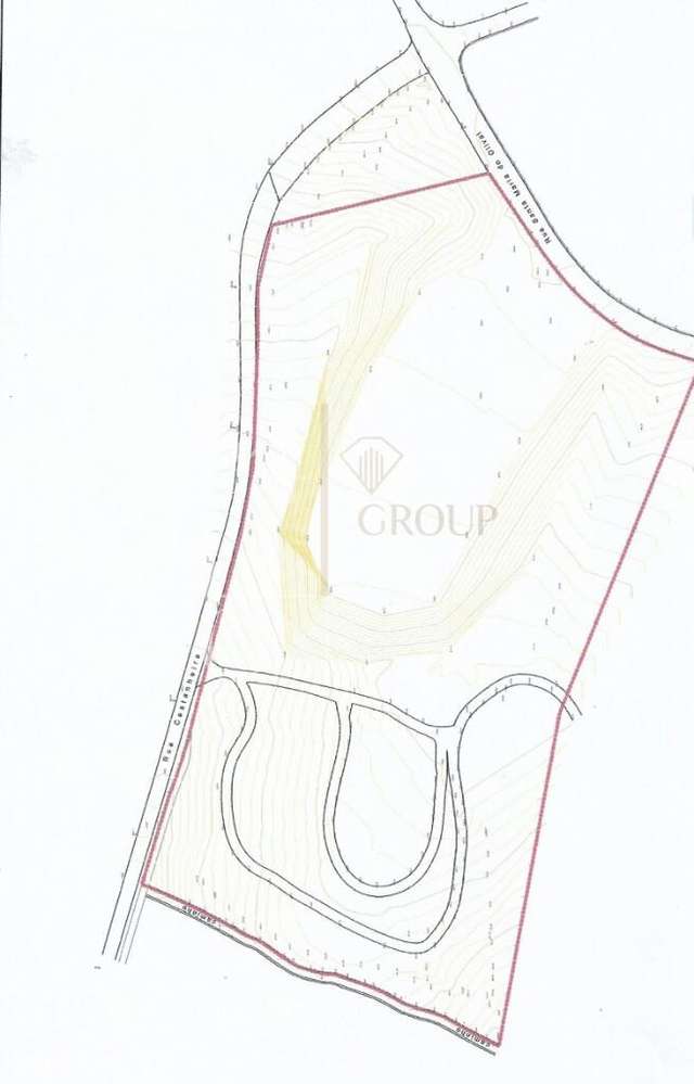 Terreno à Venda – 40.000 m2 com Mata Nativa, Pinhal e Eucaliptal - Grande imagem: 3/3