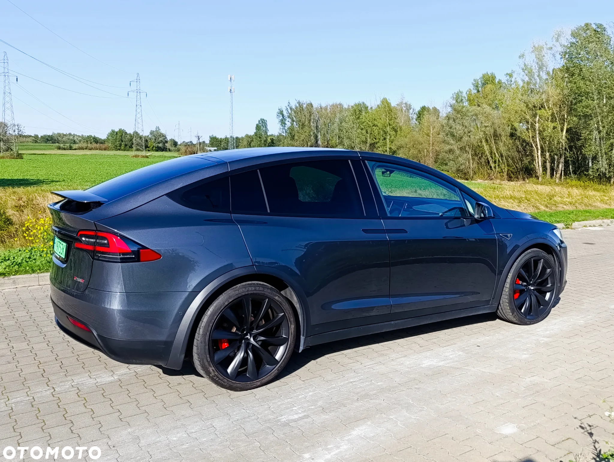 Tesla Model X Performance - 10