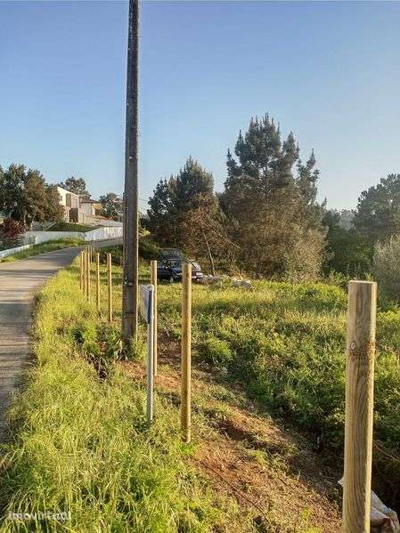 Venda de terreno em Miranda do Corvo - Grande imagem: 3/6