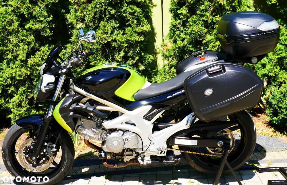 Suzuki Gladius - 34