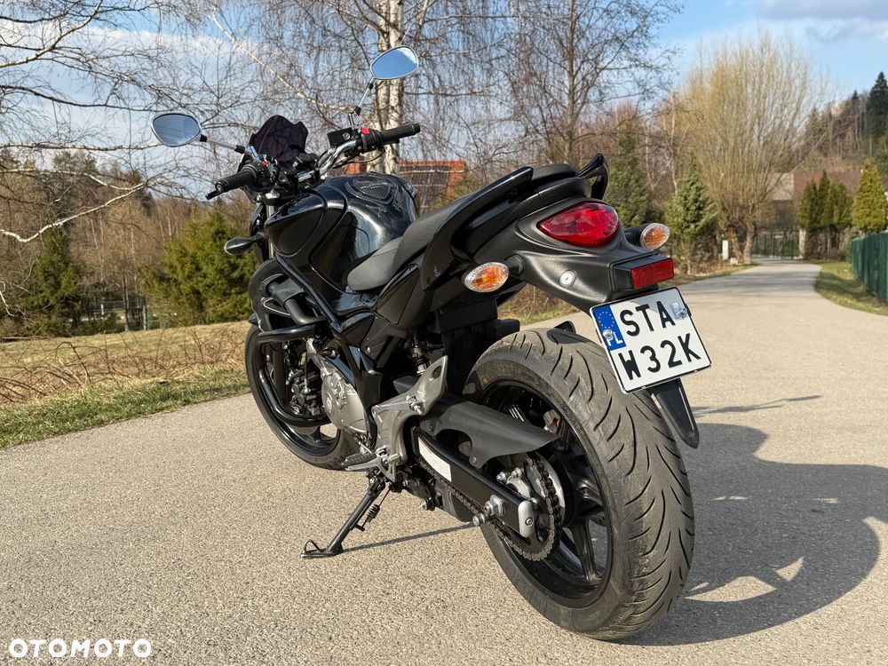 Suzuki Gladius - 6