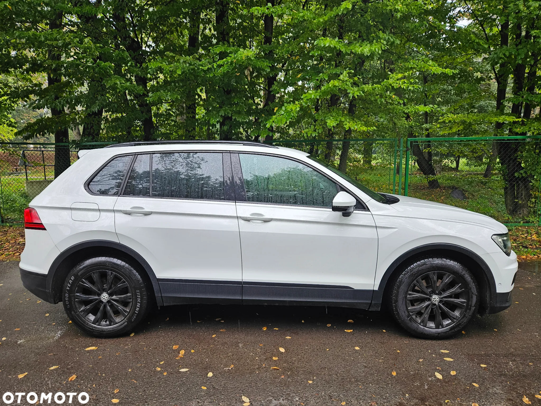 Volkswagen Tiguan 1.5 TSI EVO Comfortline - 3