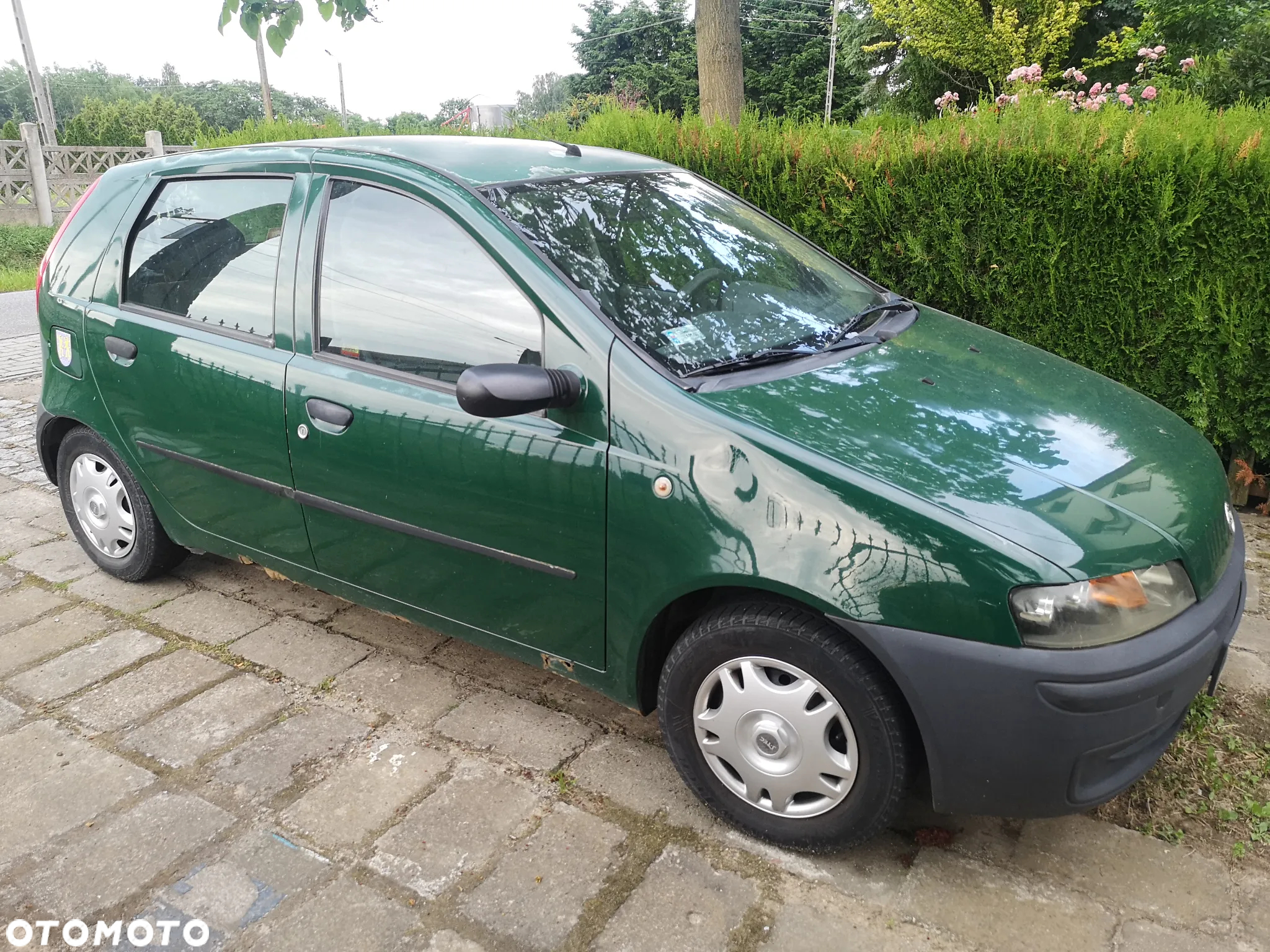 Fiat Punto - 2