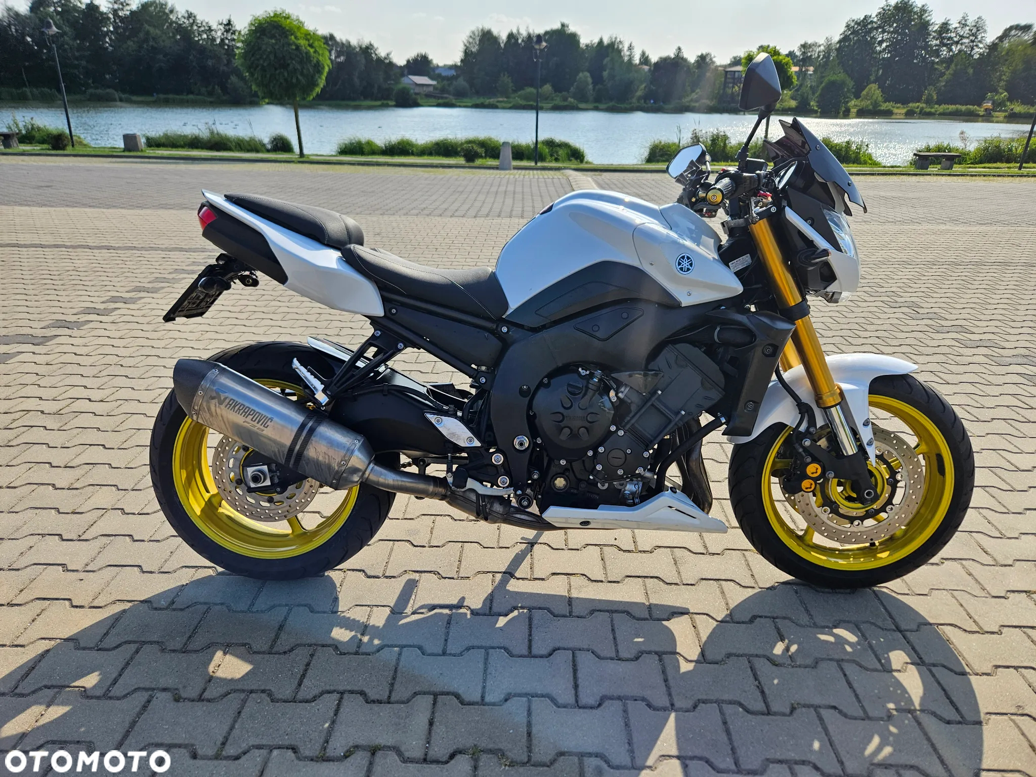 Yamaha FZ8 - 2