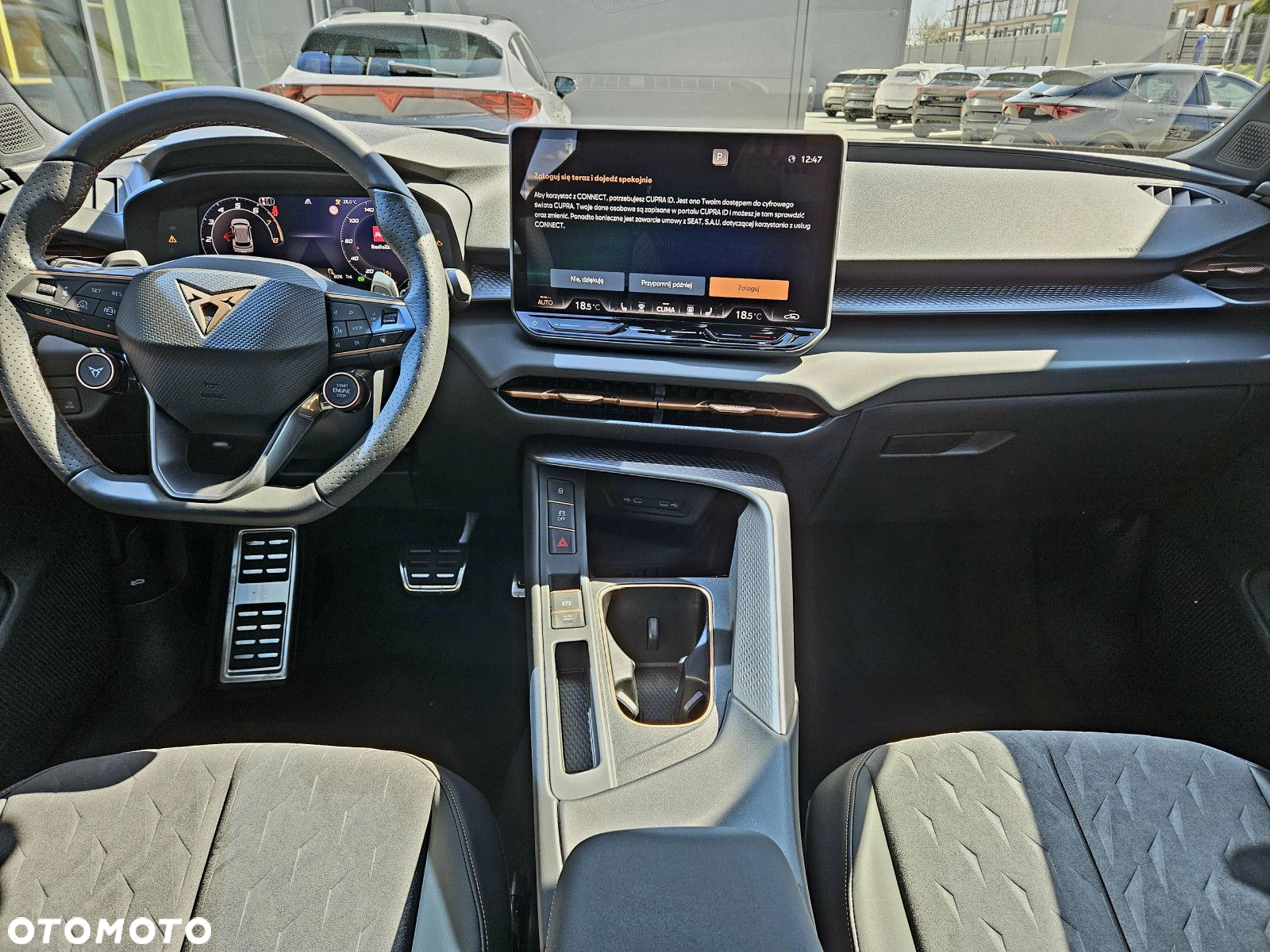 Cupra Terramar - 16