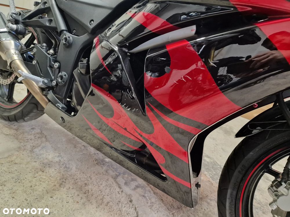 Kawasaki Ninja 250R - 10