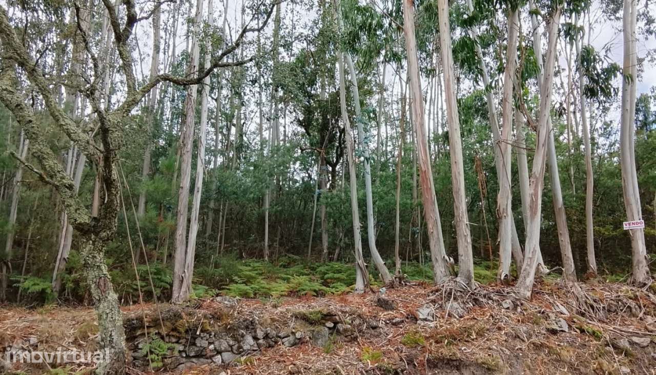 Terreno para venda, Candemil, Vila Nova de Cerveira - Grande imagem: 3/7