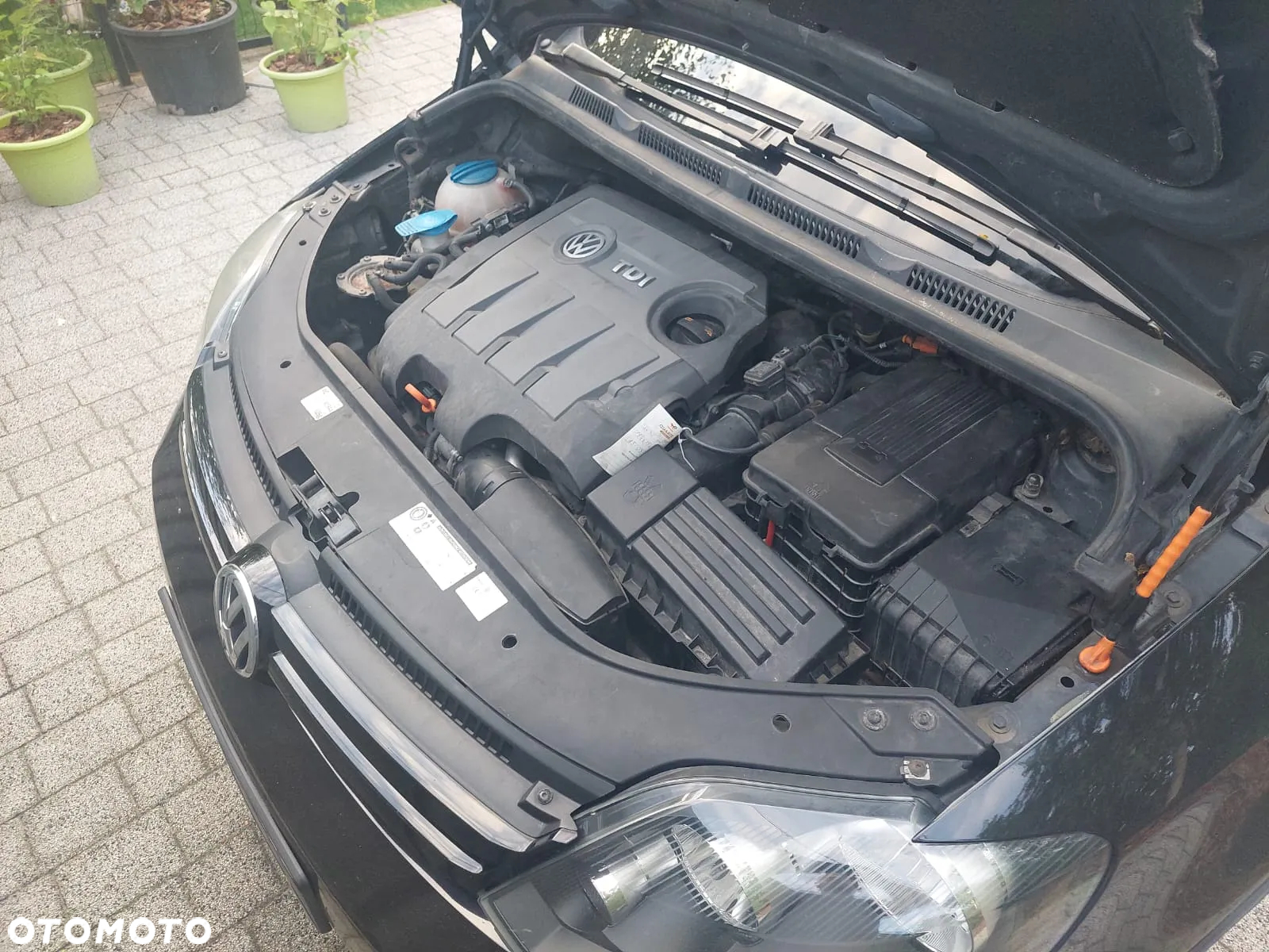 Volkswagen Golf Plus - 13