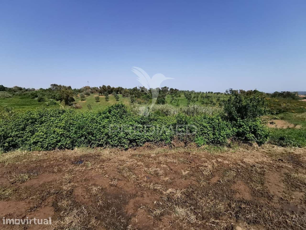 Terreno rustico e urbano com ruina para reconstrução - Grande imagem: 3/13