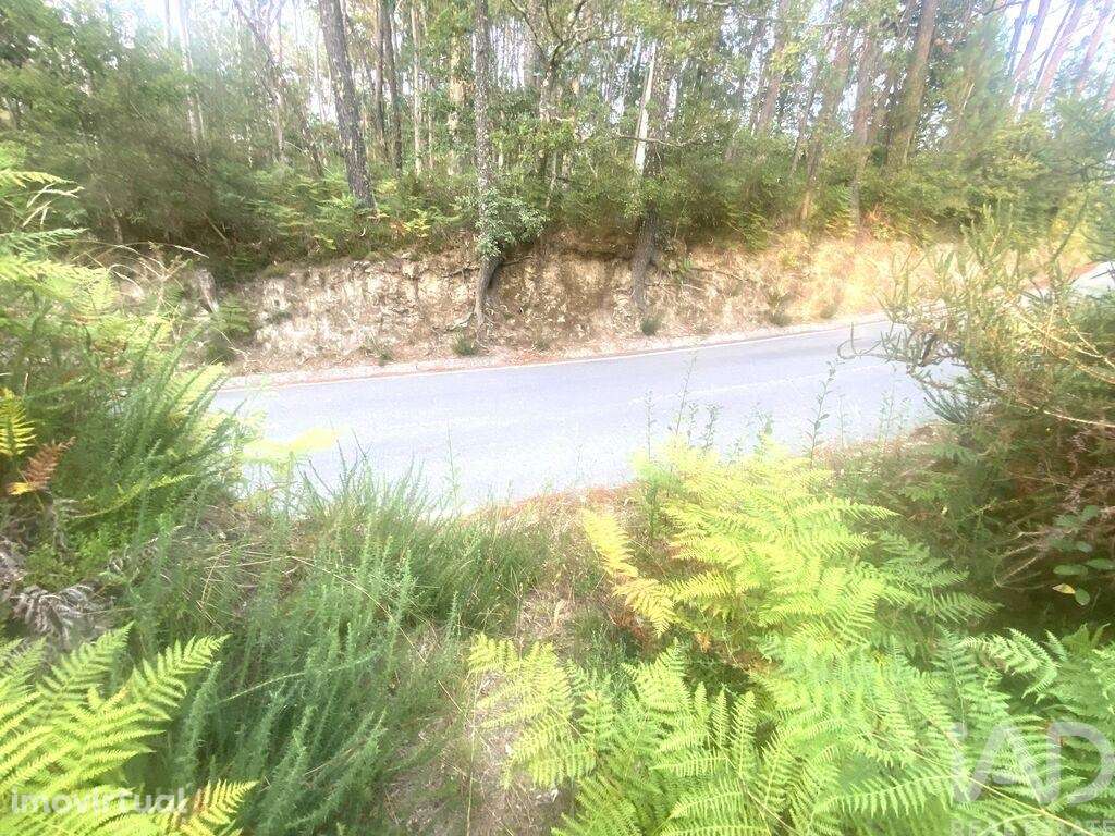 Terreno Agrícola em Sapardos de 660,00 m2 - Grande imagem: 3/7