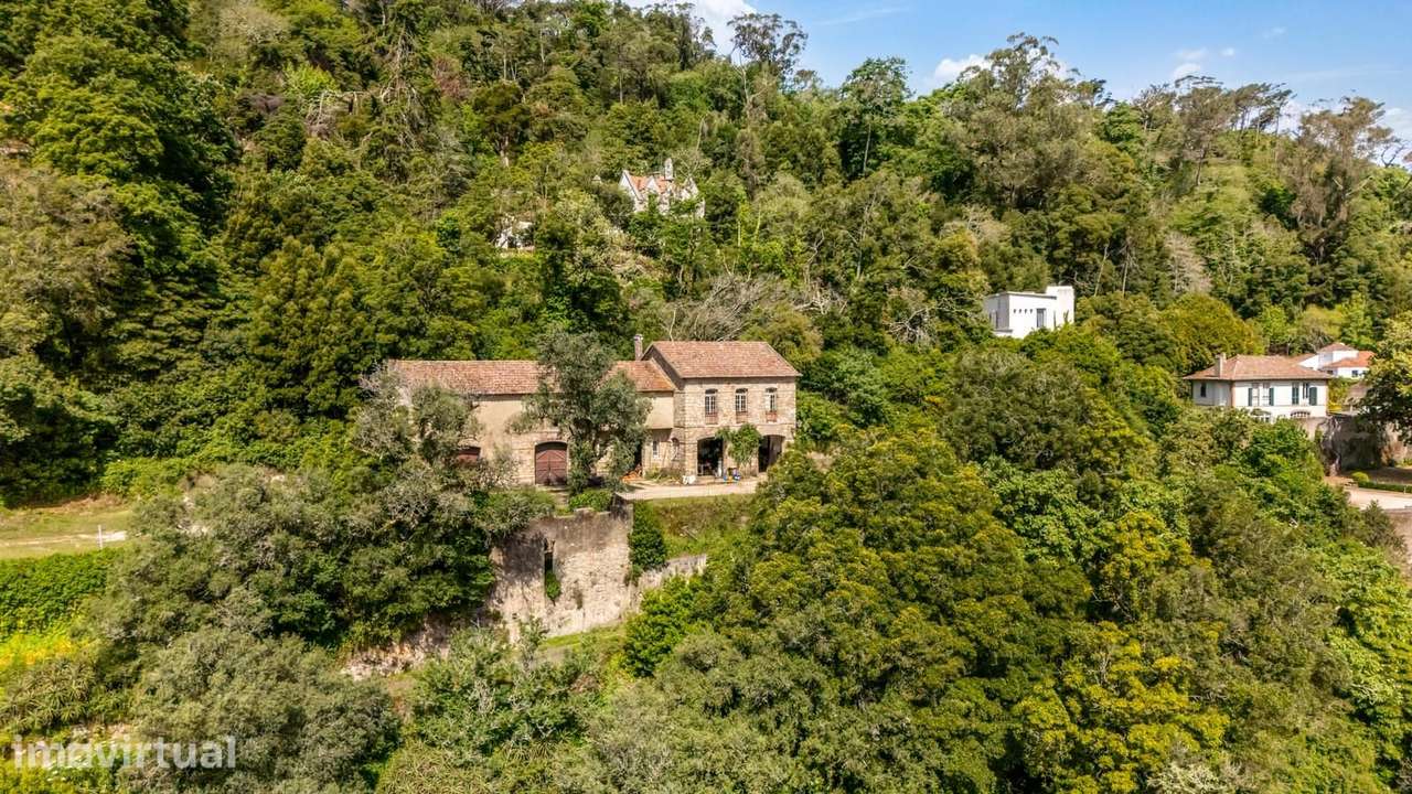 Quinta 5.9 ha, Sintra - Grande imagem: 5/31