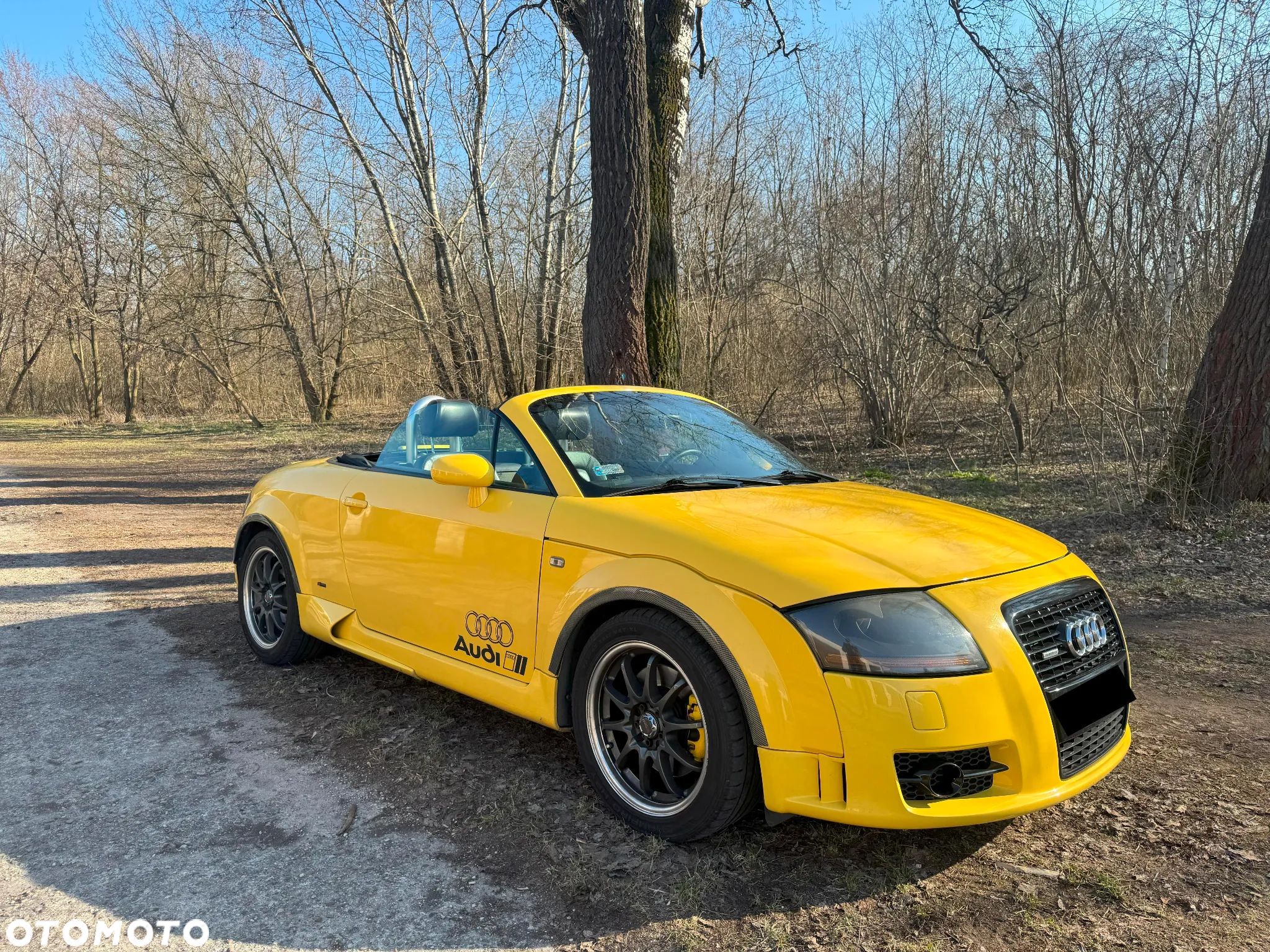 Audi TT Coupé Roadster 1.8T Quattro - 1